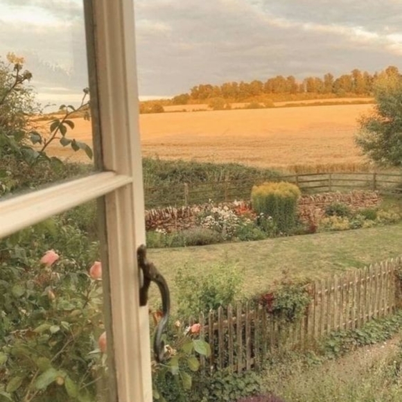 Meet your Posher, Priscilla - Picture 5 of 12